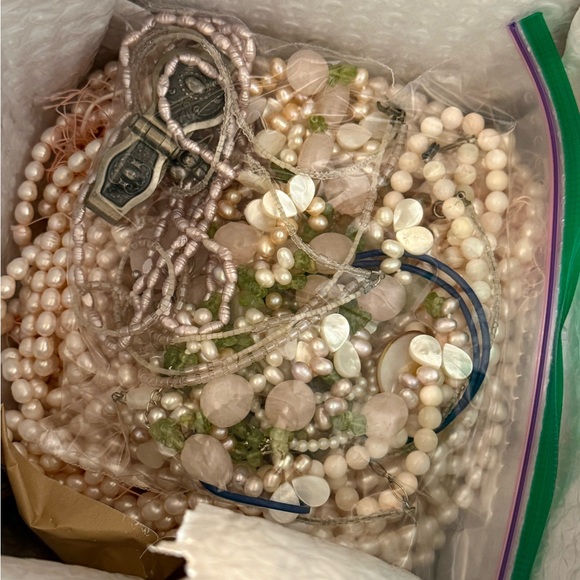 Ivy - Picture 9 of 15